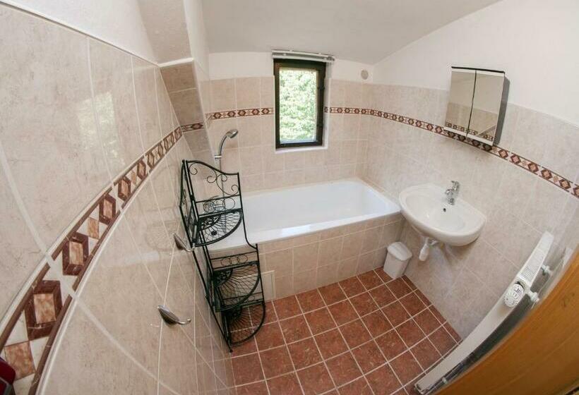 Пансион Chalupa 246