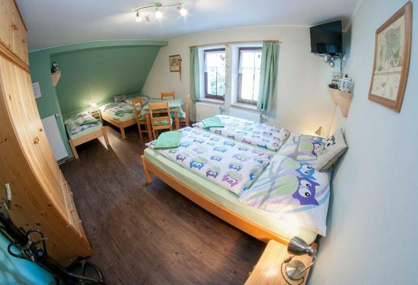 Пансион Chalupa 246