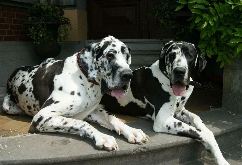 ペンション Chateau Neufays