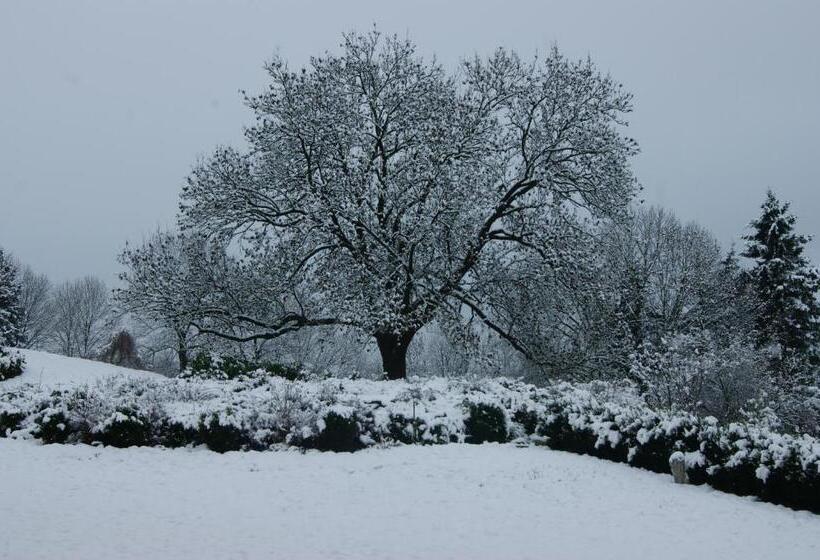 ペンション Chateau Neufays