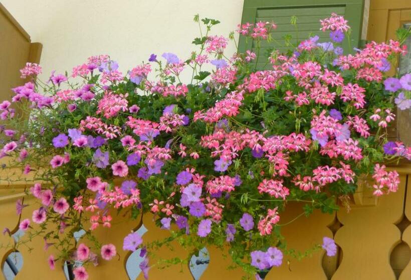 بنسيون Gästehaus Kurparkfrieden