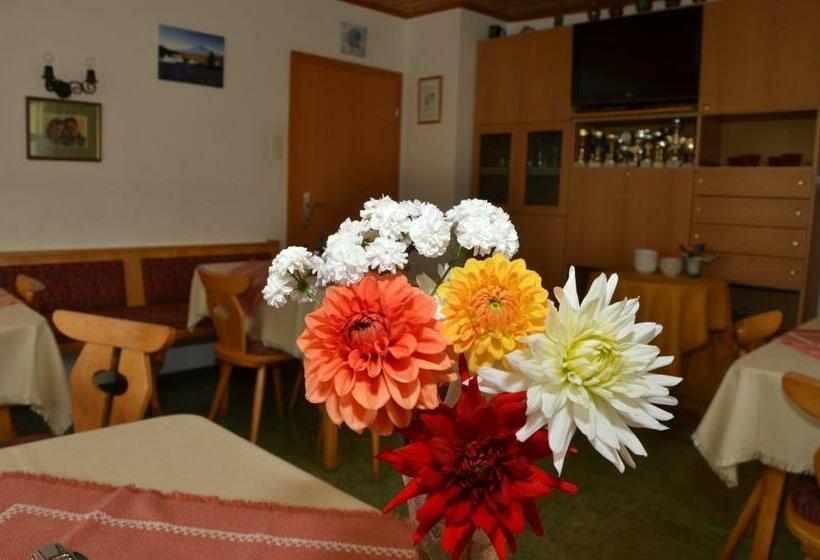 بنسيون Haus Dachstein Schnitzer