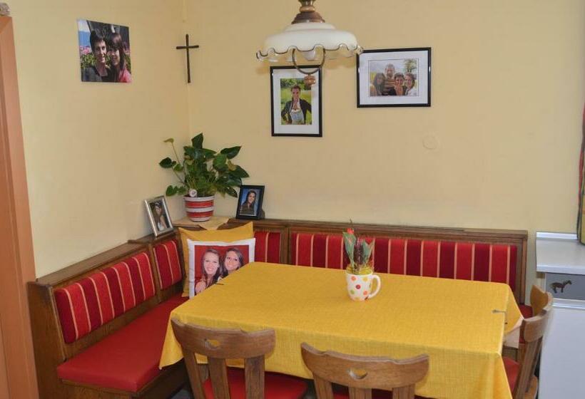 بنسيون Haus Dachstein Schnitzer