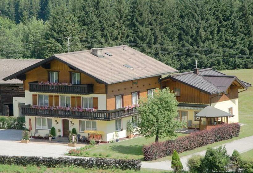 بنسيون Haus Dachstein Schnitzer