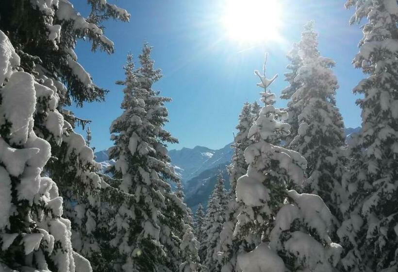 بنسيون Haus Renswouw