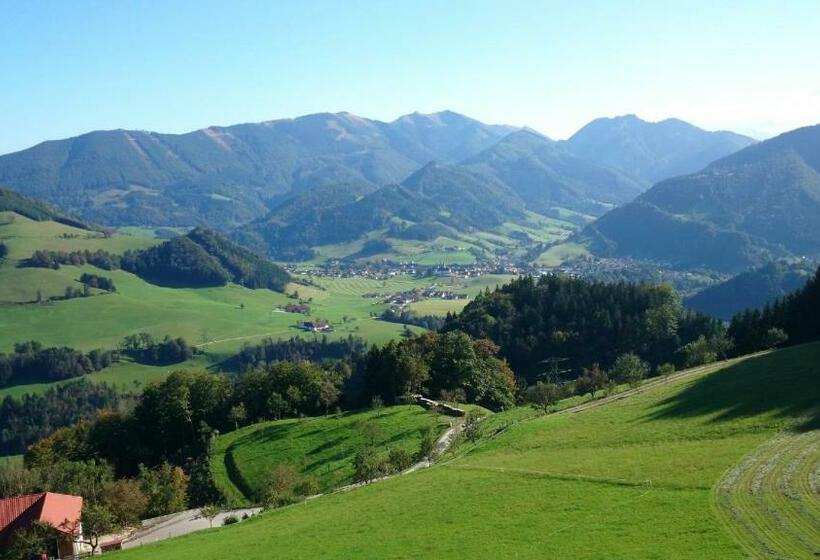 פנסיון Lehnerhof