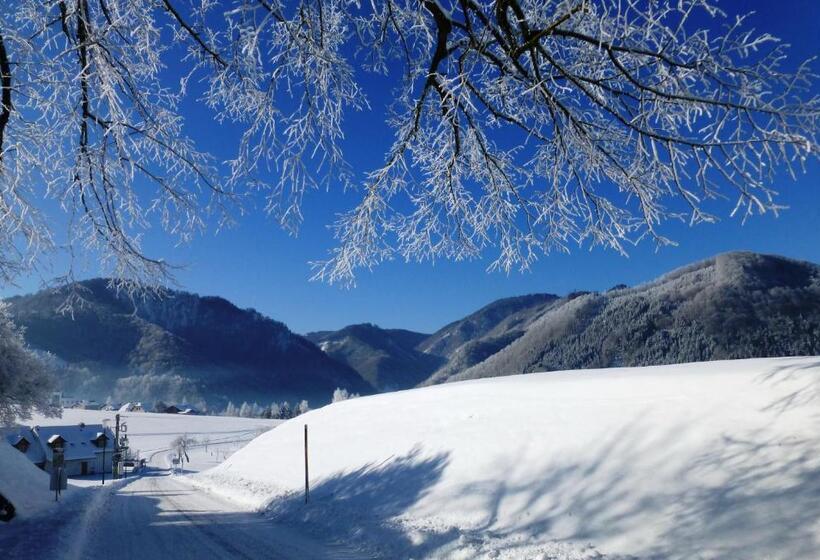 פנסיון Lehnerhof