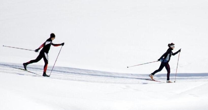 פנסיון Lehnerhof