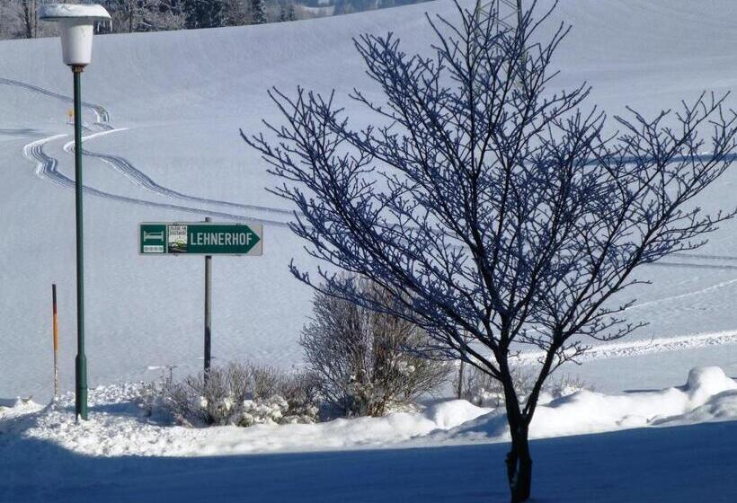 פנסיון Lehnerhof