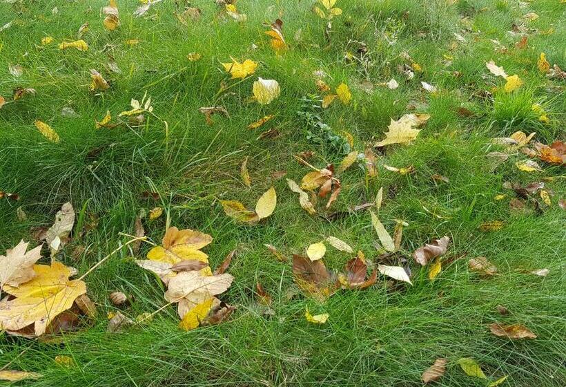 بنسيون Penzion Bránabeskyd