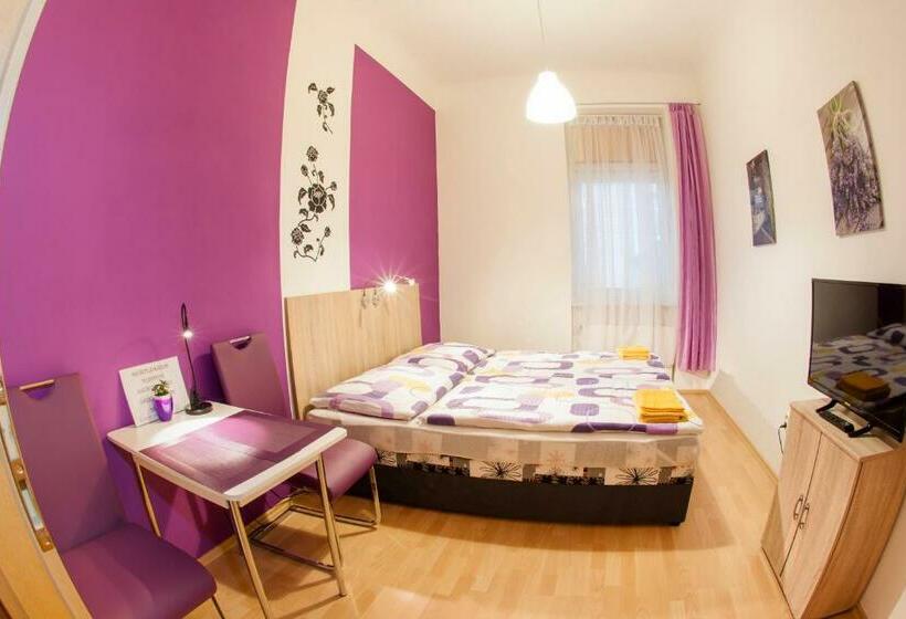 پانسیون Apartmány   Penzion Smetanka