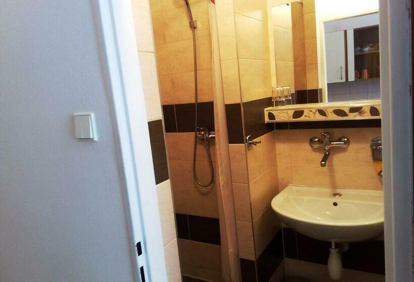 پانسیون Apartmány   Penzion Smetanka