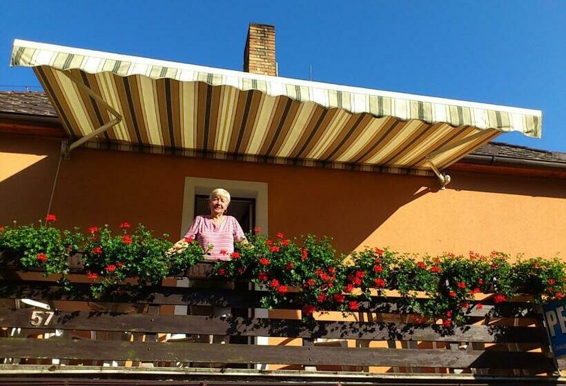 Пансион Penzion Zavodsky