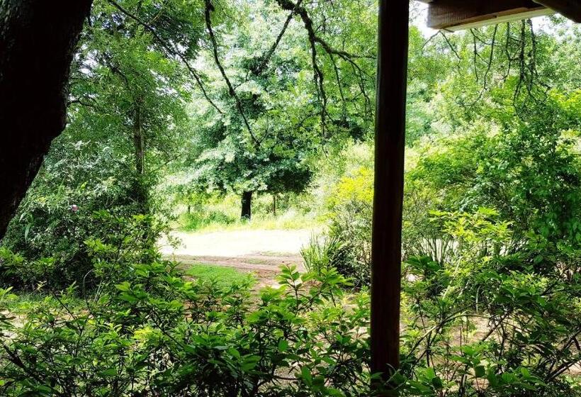 פנסיון Stanford Lake Lodge