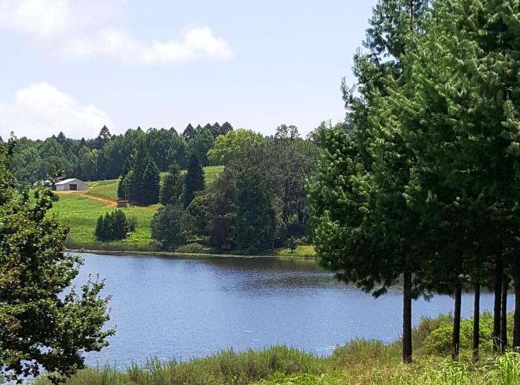 ペンション Stanford Lake Lodge