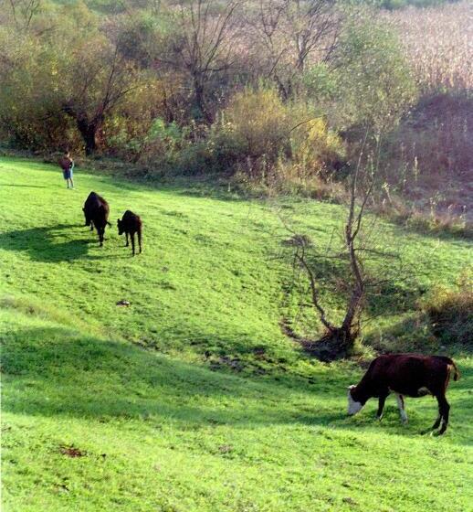 פנסיון Unglerus Guesthouse