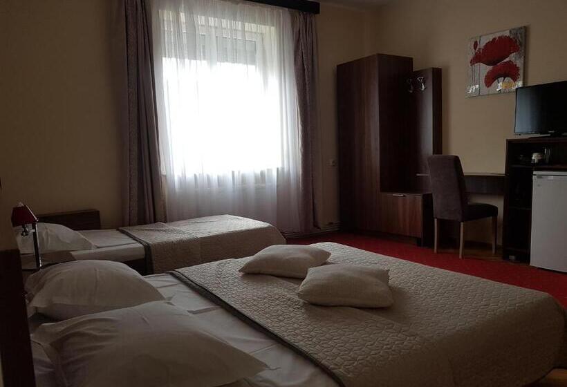 بنسيون Villa Casa Ioana