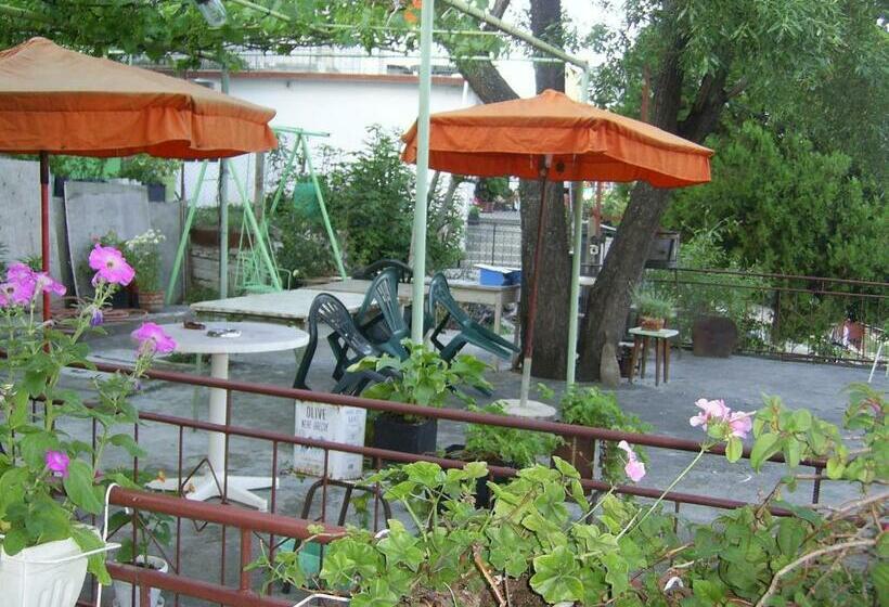 ペンション Villa Jana