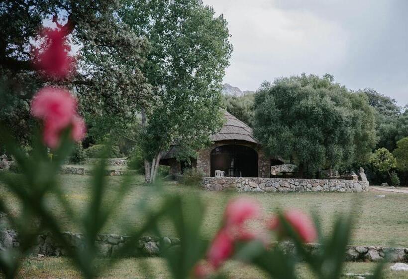 منتجع Los Chozos