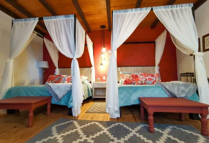 مبيت وإفطار Corregidora 12