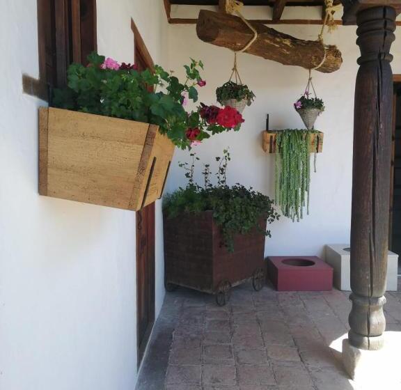 مبيت وإفطار Corregidora 12