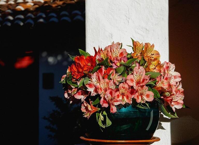 مبيت وإفطار Corregidora 12