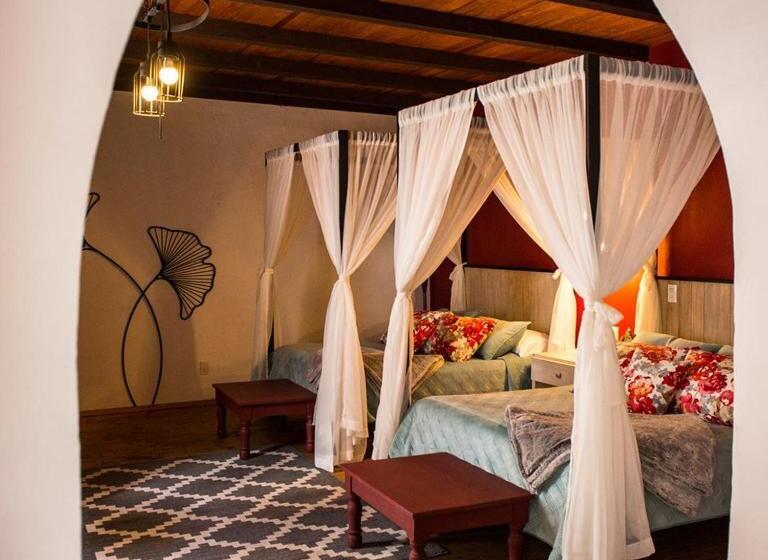 مبيت وإفطار Corregidora 12