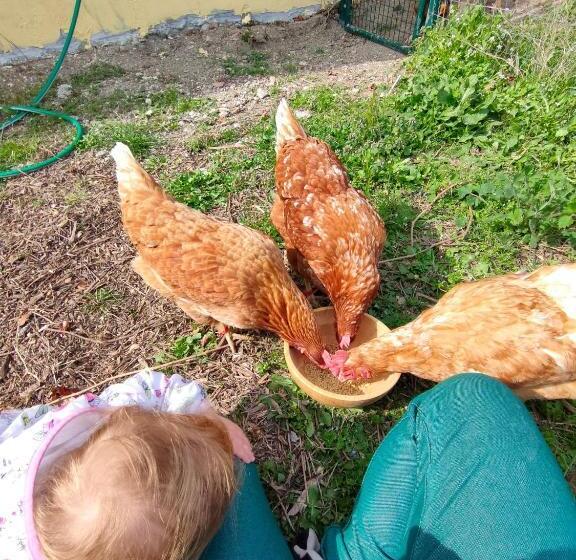 בית מלון כפרי B&b Naturin   Cascina Colombaro