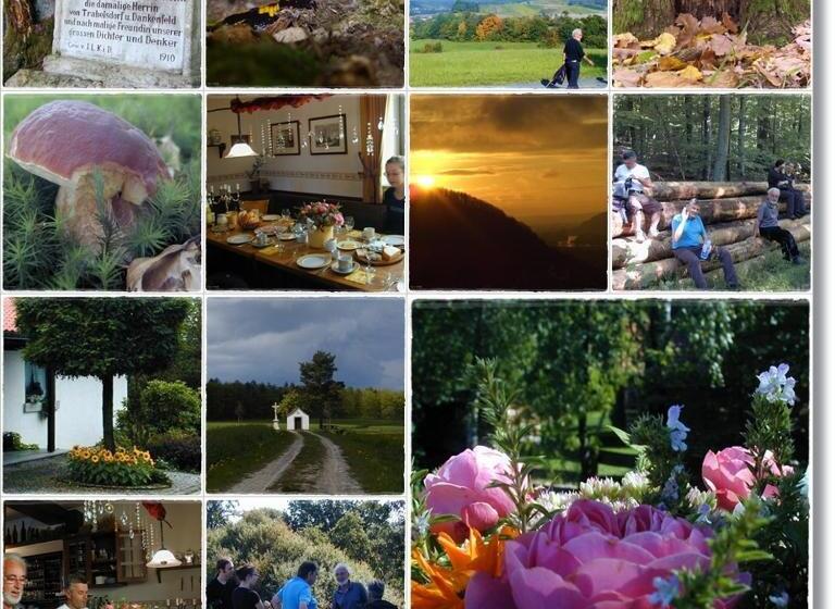 호텔 Garni Lindenhof Im Steigerwald