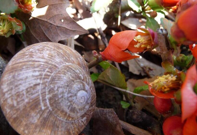 호텔 Garni Lindenhof Im Steigerwald