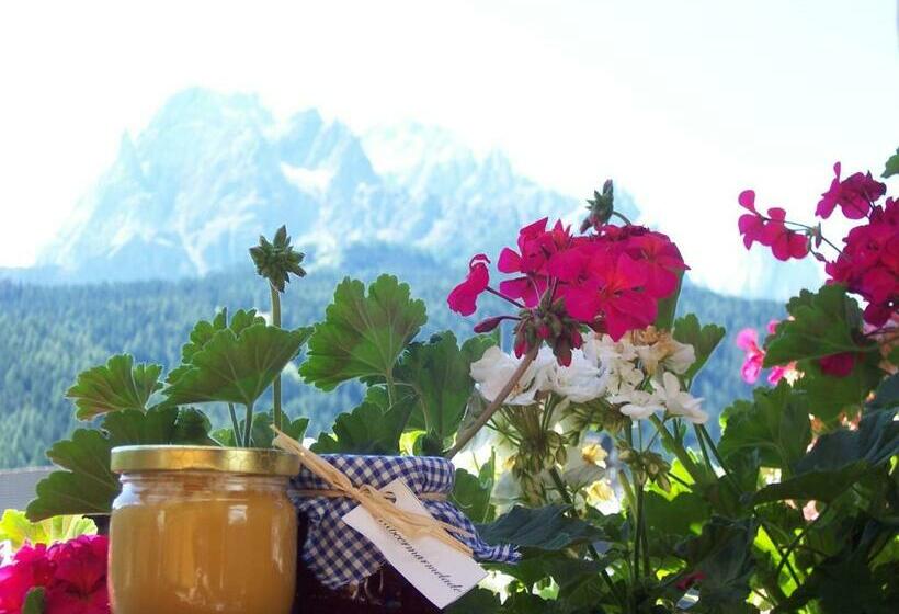 בית מלון כפרי Obersanterhof