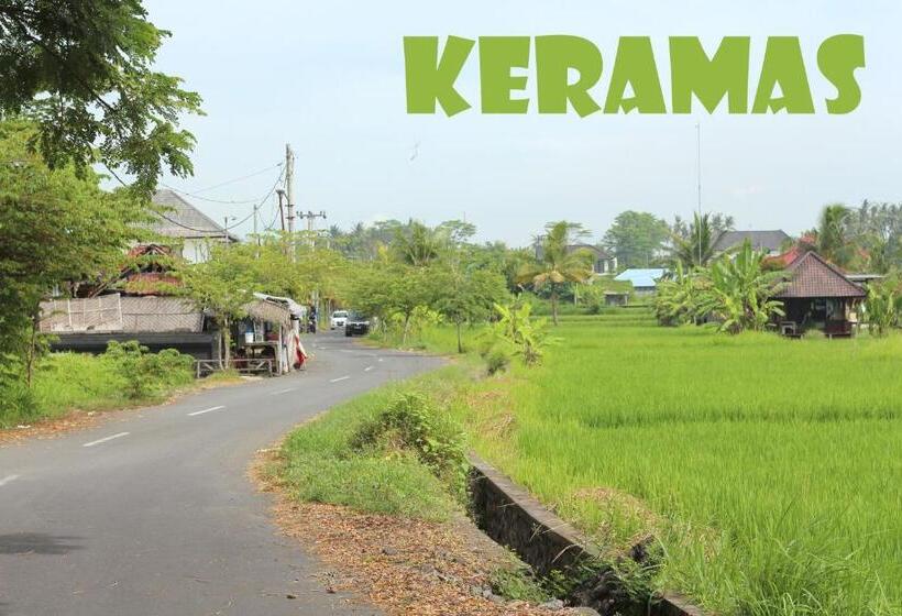 פנסיון Blue Coco