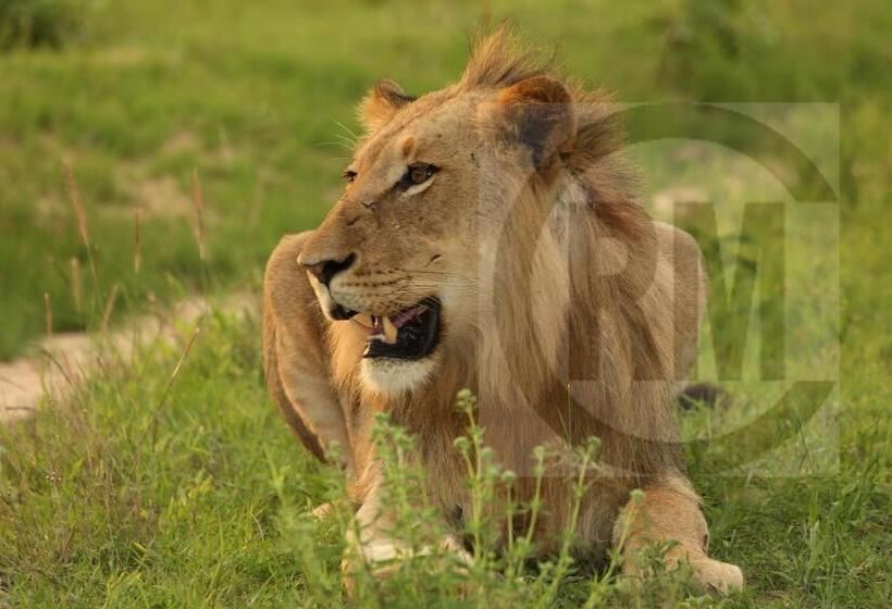 بنسيون Le Gallerie Luxury Accommodation