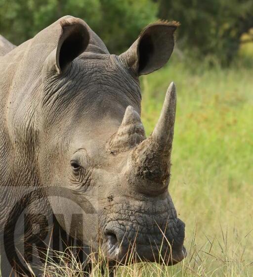 ペンション Le Gallerie Luxury Accommodation