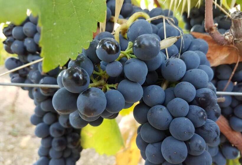 پانسیون Santa Maria Casa Nostra