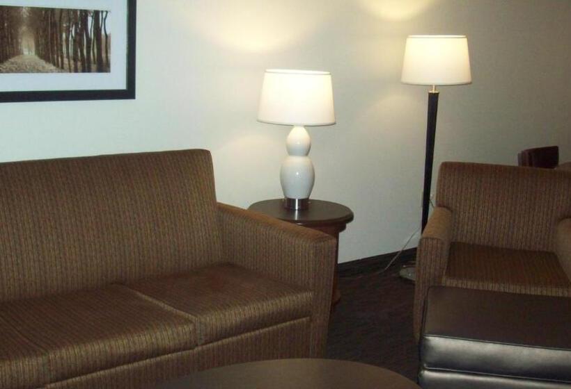 فندق Americinn By Wyndham Silver City