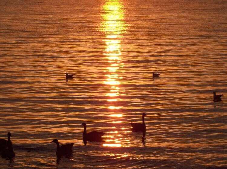 فندق Americinn By Wyndham Silver City