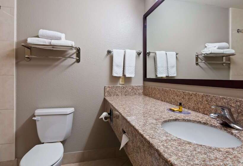 호텔 Best Western Plus Mansfield Inn And Suites