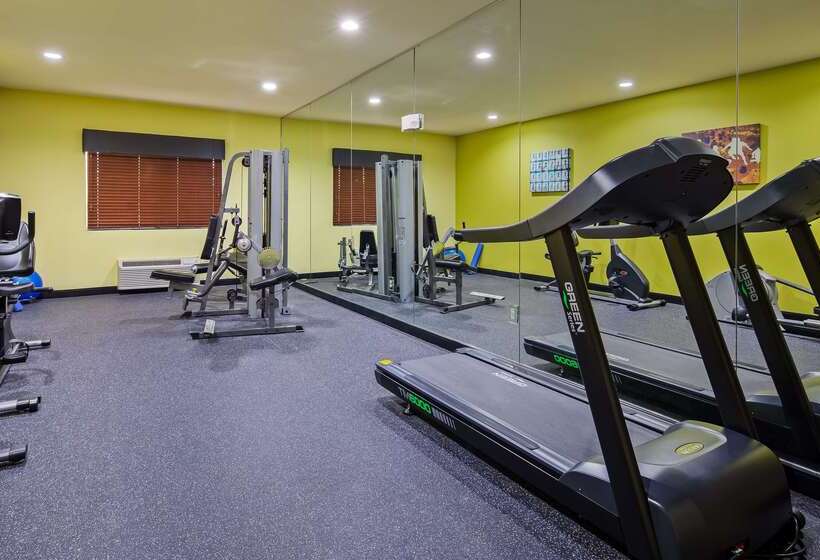 호텔 Best Western Plus Mansfield Inn And Suites