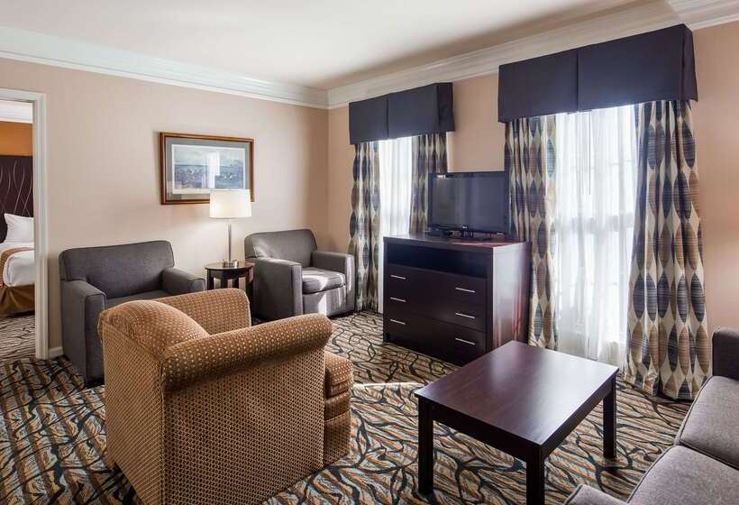 فندق Best Western Spring Hill Inn & Suites