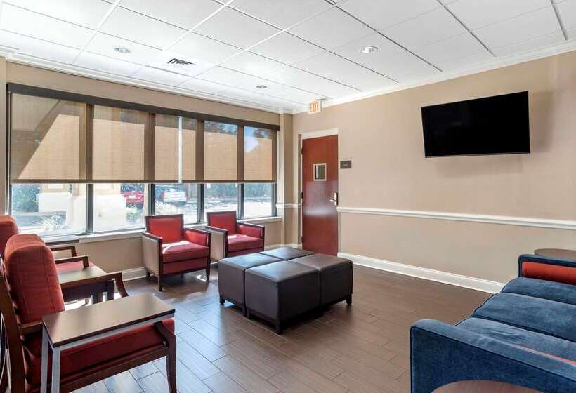 فندق Comfort Inn & Suites