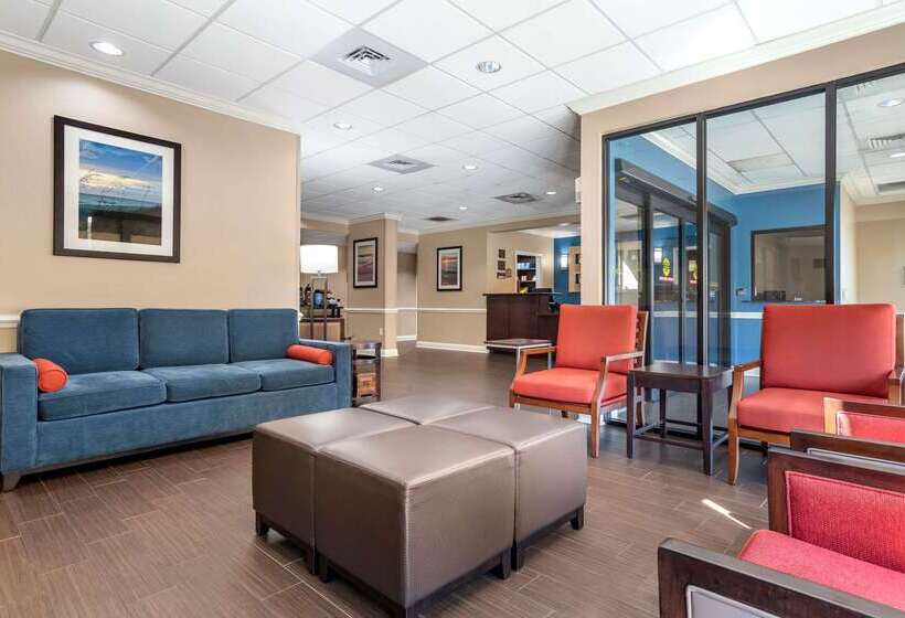 فندق Comfort Inn & Suites