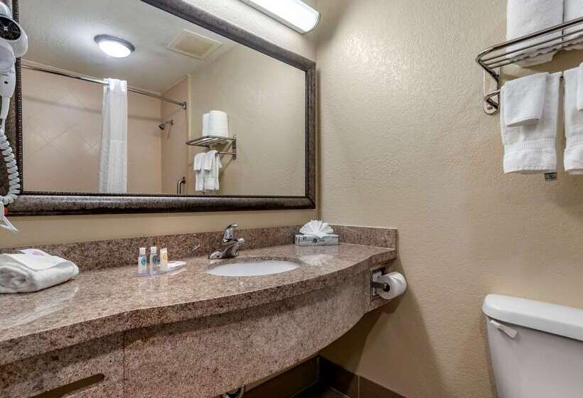 فندق Comfort Inn & Suites