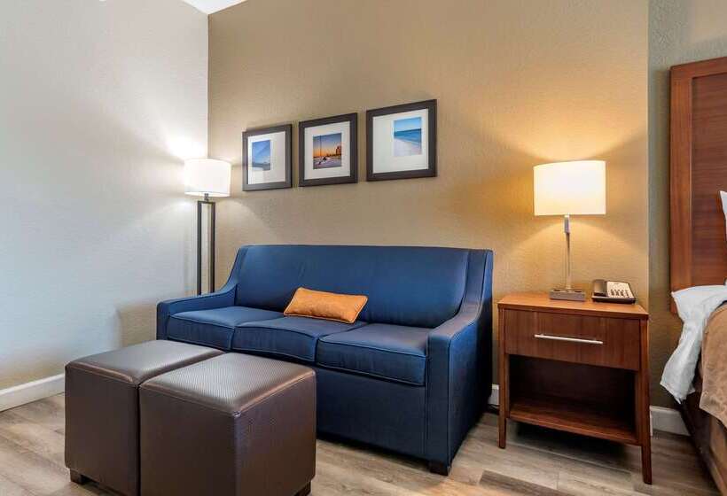 فندق Comfort Inn & Suites