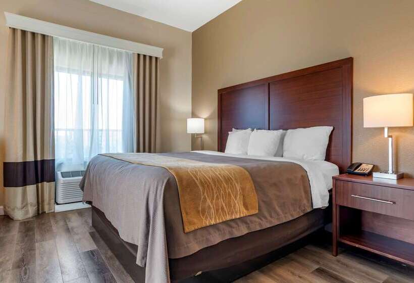 فندق Comfort Inn & Suites