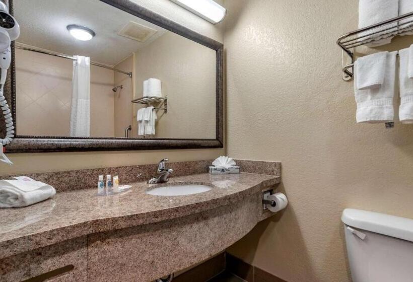 فندق Comfort Inn & Suites