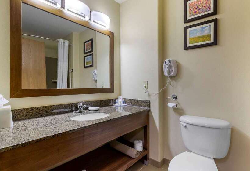 فندق Comfort Inn & Suites Ponca City Near Marland Mansion