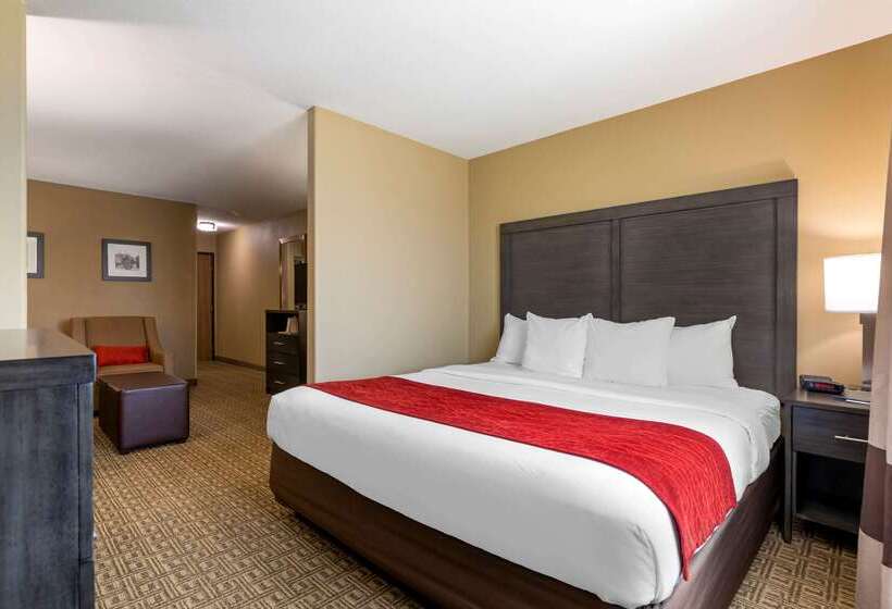 فندق Comfort Inn & Suites Ponca City Near Marland Mansion