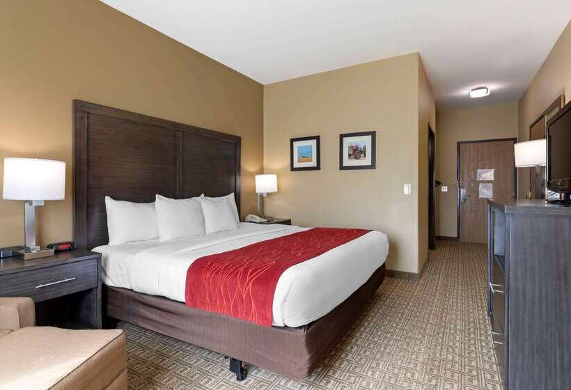 فندق Comfort Inn & Suites Ponca City Near Marland Mansion