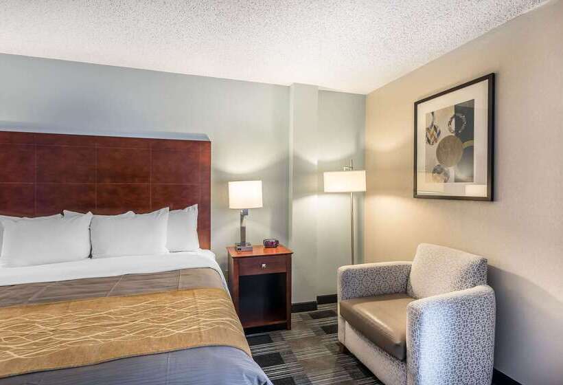 هتل Comfort Inn Sw Omaha I80
